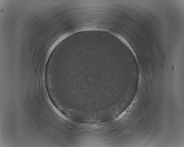 X0000066011197200603061249