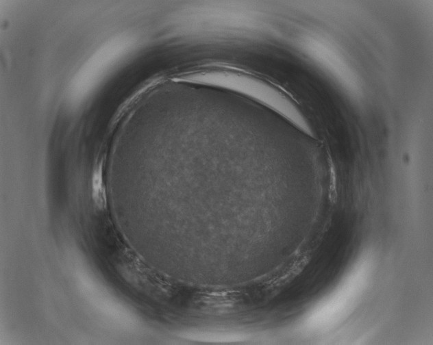 X0000066011198200603061249