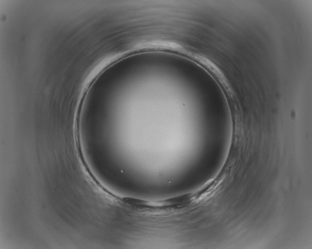 X0000066011199200603061249