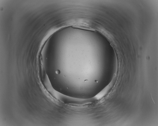 X0000066011200200603061249