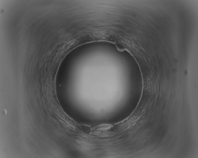 X0000066011201200603061249