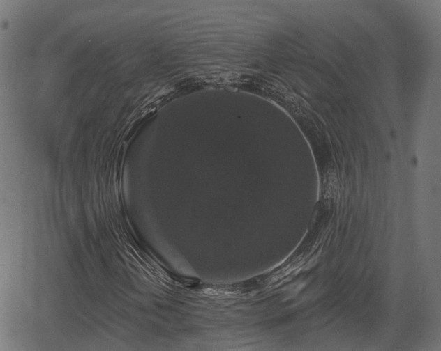 X0000066011202200603061249