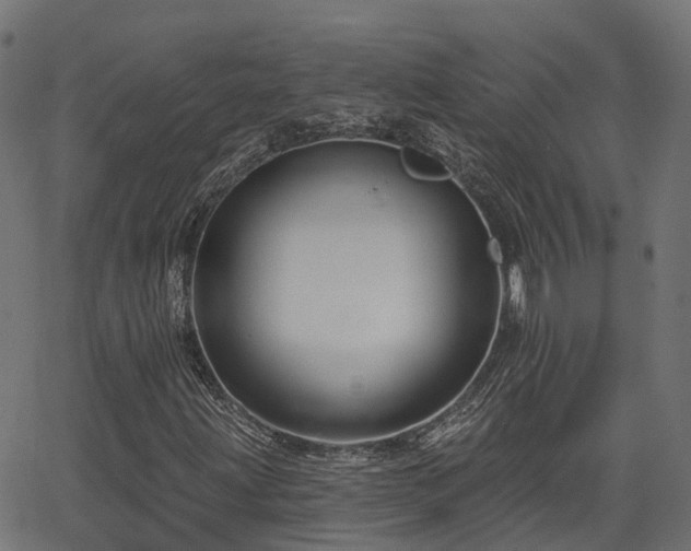 X0000066011203200603061249