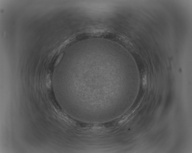 X0000066011204200603061249