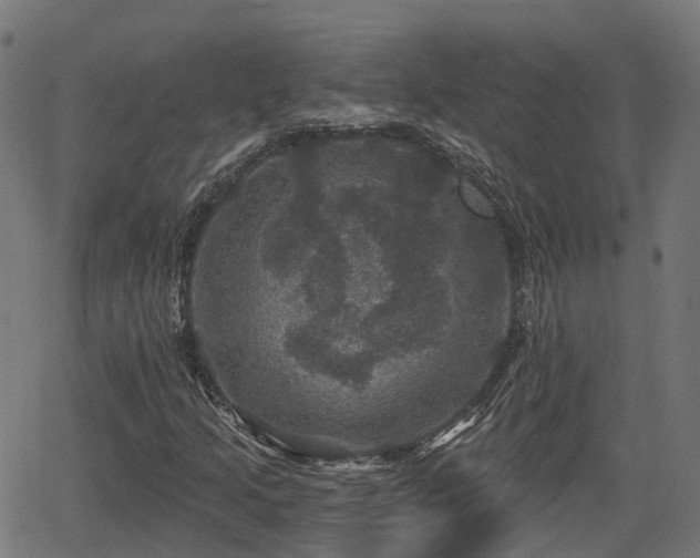 X0000066011205200603061249