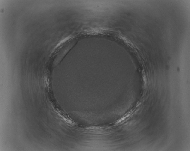 X0000066011206200603061249