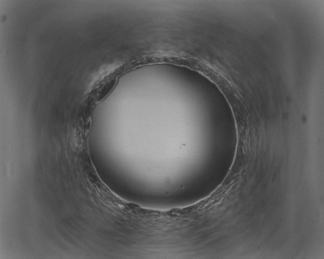 X0000066011207200603061249