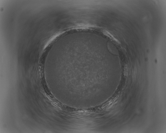 X0000066011208200603061249