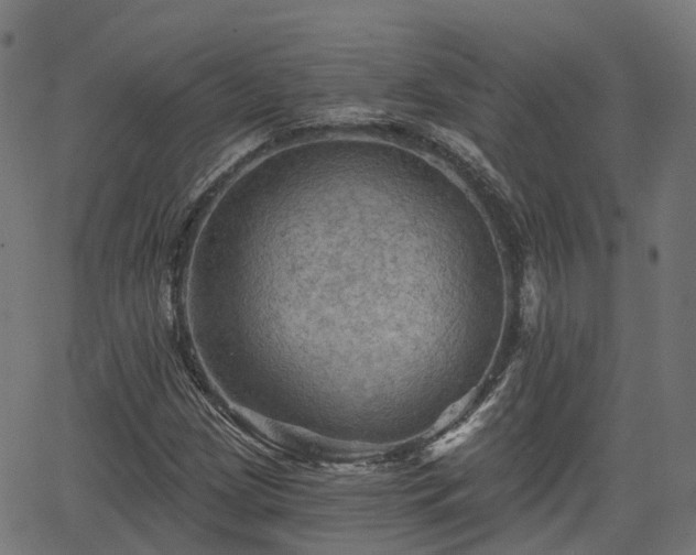 X0000066011209200603061249