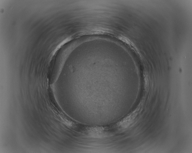 X0000066011210200603061249