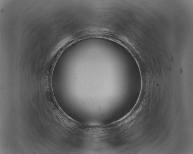 X0000066011211200603061249