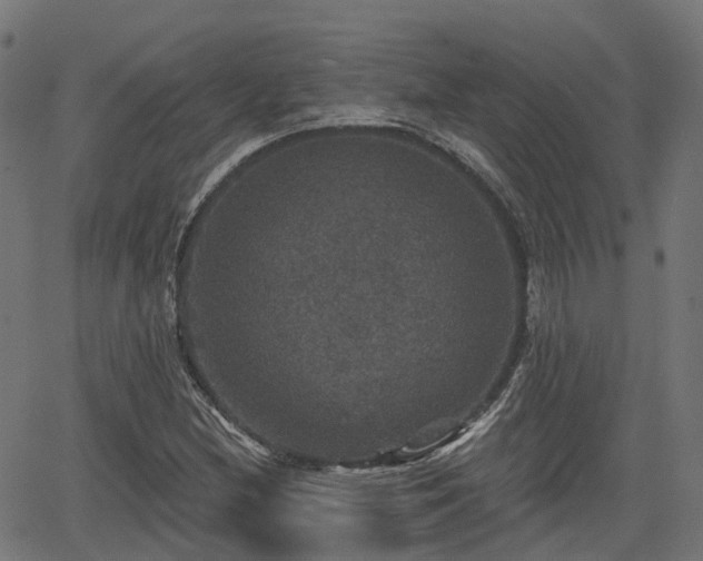 X0000066011212200603061249