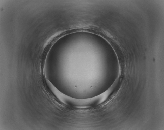 X0000066011214200603061249