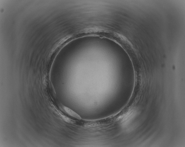 X0000066011217200603061249