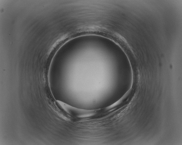 X0000066011218200603061249