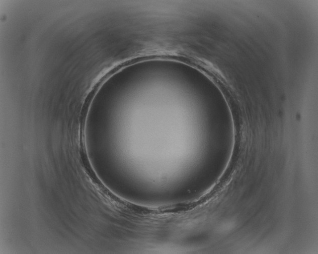 X0000066011220200603061249