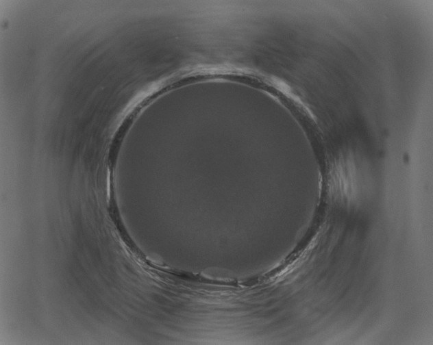 X0000066011221200603061249