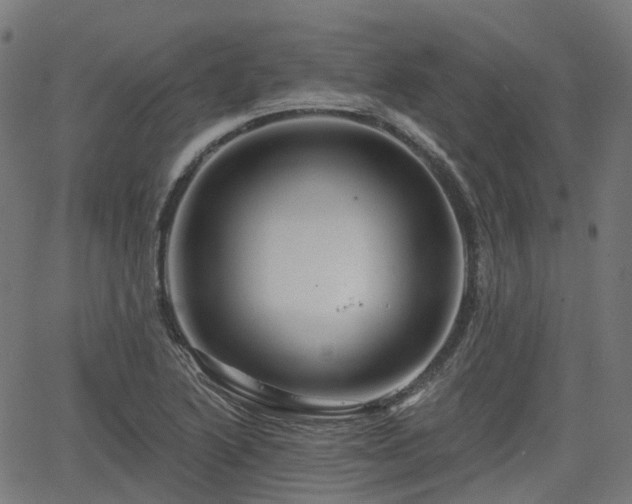 X0000066011222200603061249