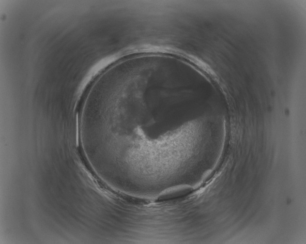 X0000066011223200603061249