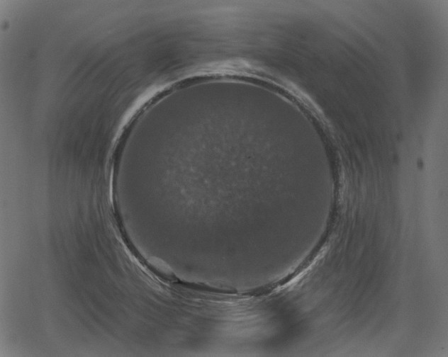 X0000066011224200603061249