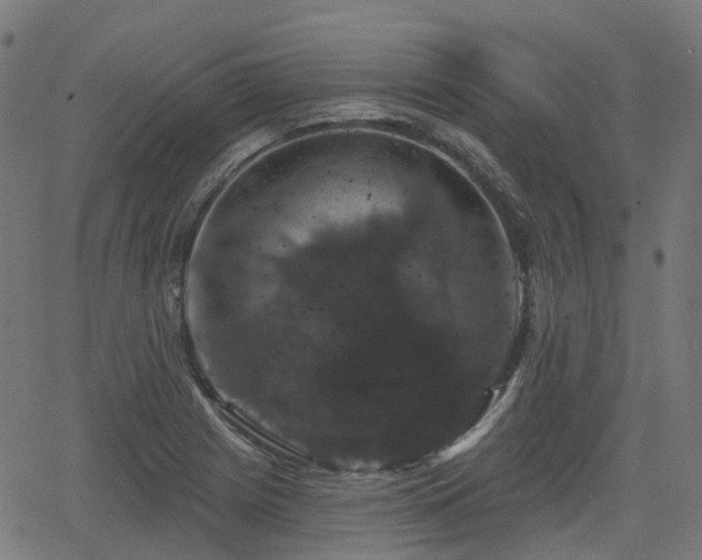 X0000066011225200603061249