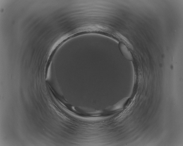 X0000066011226200603061249