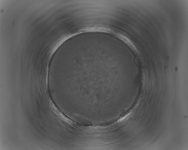 X0000066011228200603061249