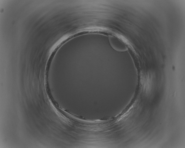 X0000066011229200603061249