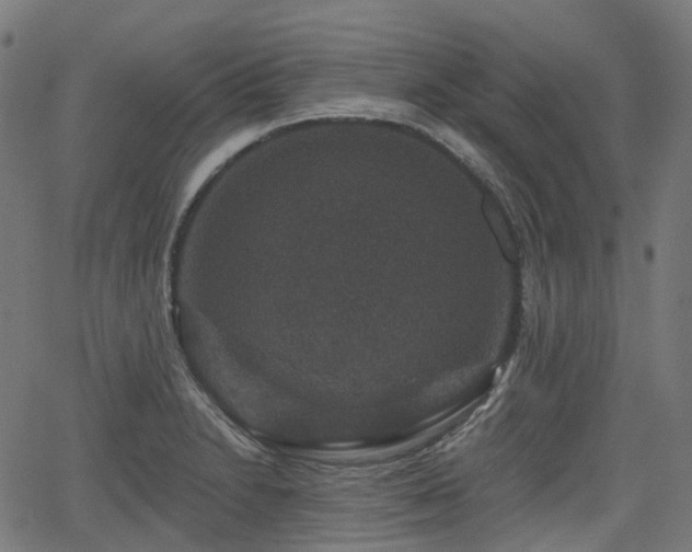 X0000066011230200603061249