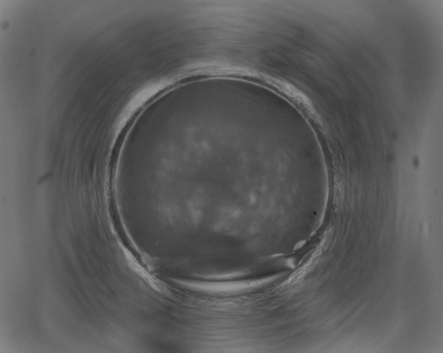 X0000066011231200603061249