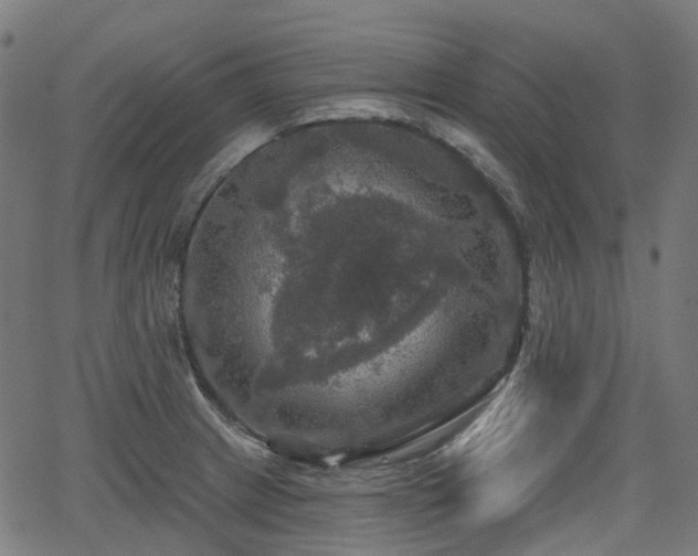 X0000066011233200603061249