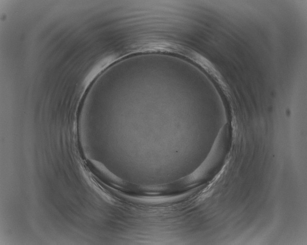 X0000066011234200603061249