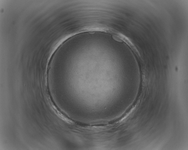 X0000066011236200603061249