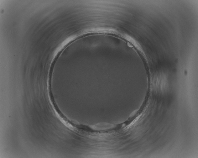 X0000066011237200603061249