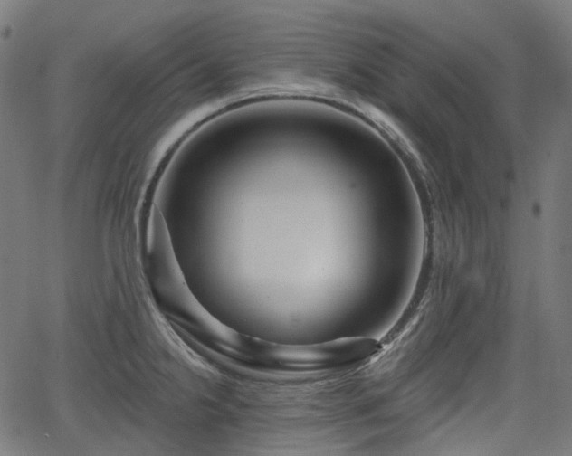 X0000066011238200603061249