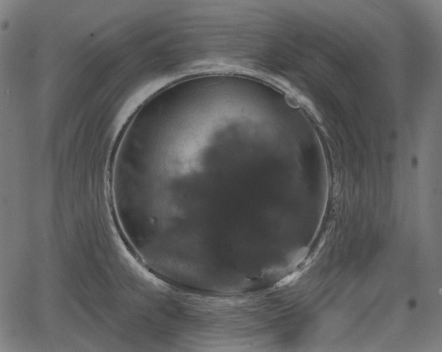 X0000066011239200603061249