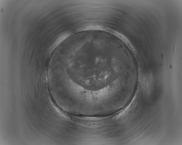 X0000066011241200603061249