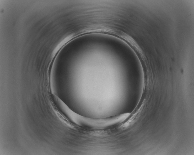 X0000066011242200603061249