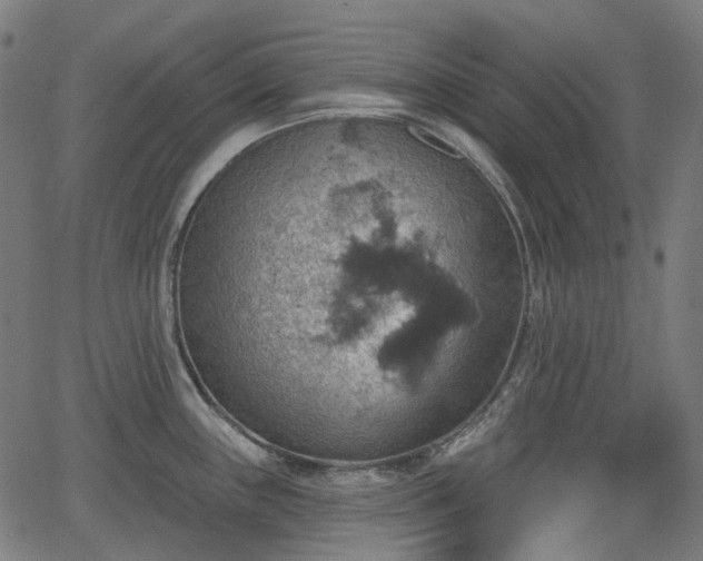 X0000066011243200603061249