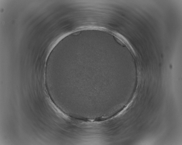 X0000066011244200603061249