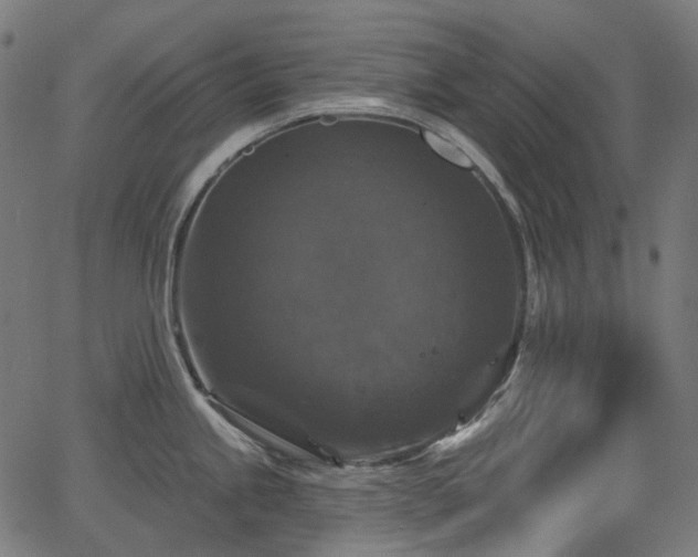 X0000066011245200603061249