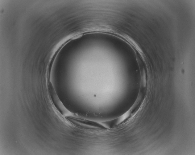 X0000066011246200603061249