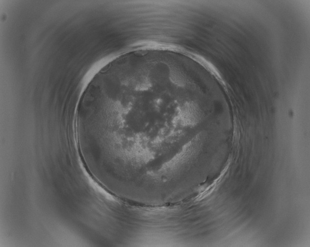 X0000066011247200603061249