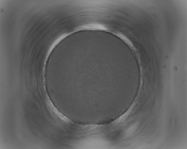 X0000066011248200603061249