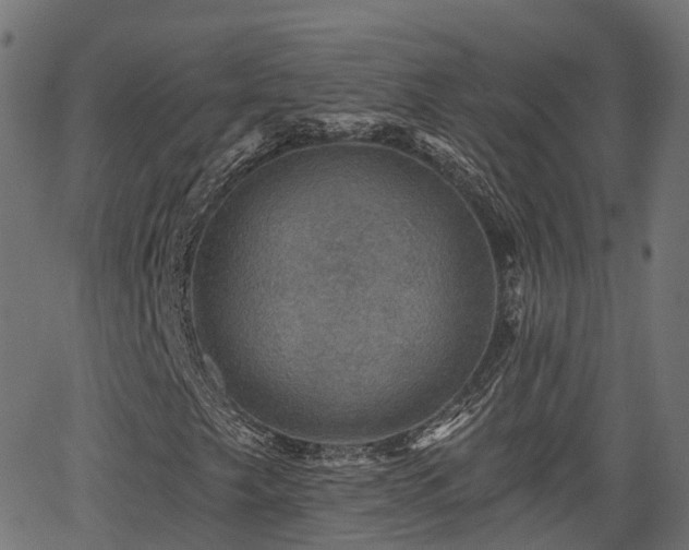 X0000066011249200603061249