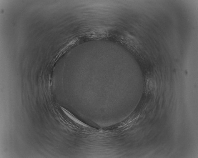 X0000066011250200603061249