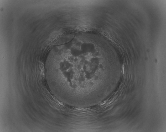 X0000066011251200603061248