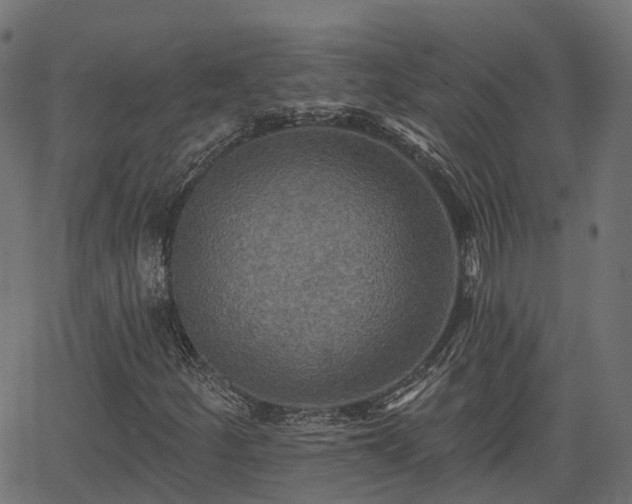 X0000066011252200603061248