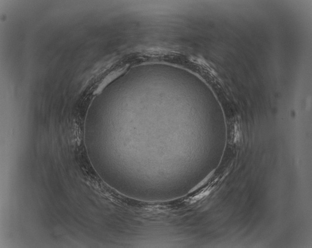 X0000066011253200603061248