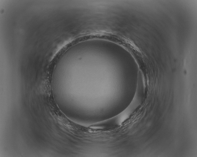 X0000066011256200603061248